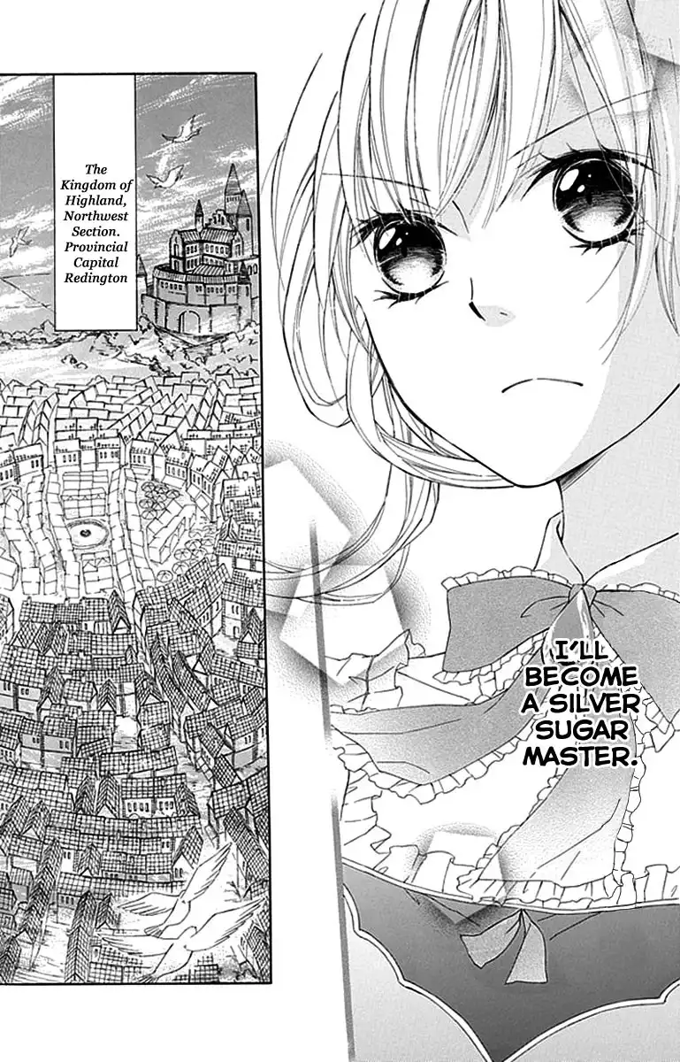 Ginzatoushi to Kuro no Yousei - Sugar Apple Fairytale Chapter 1 13